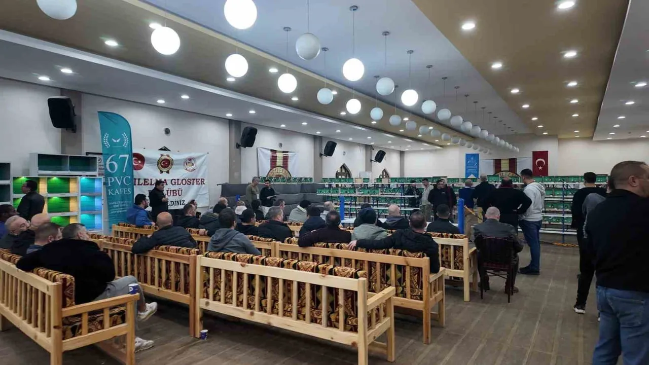 ANKARA'NIN AKYURT İLÇESİ, ULUSLARARASI GLOSTER KANARYA YARIŞMASINA EV SAHİPLİĞİ YAPTI.
