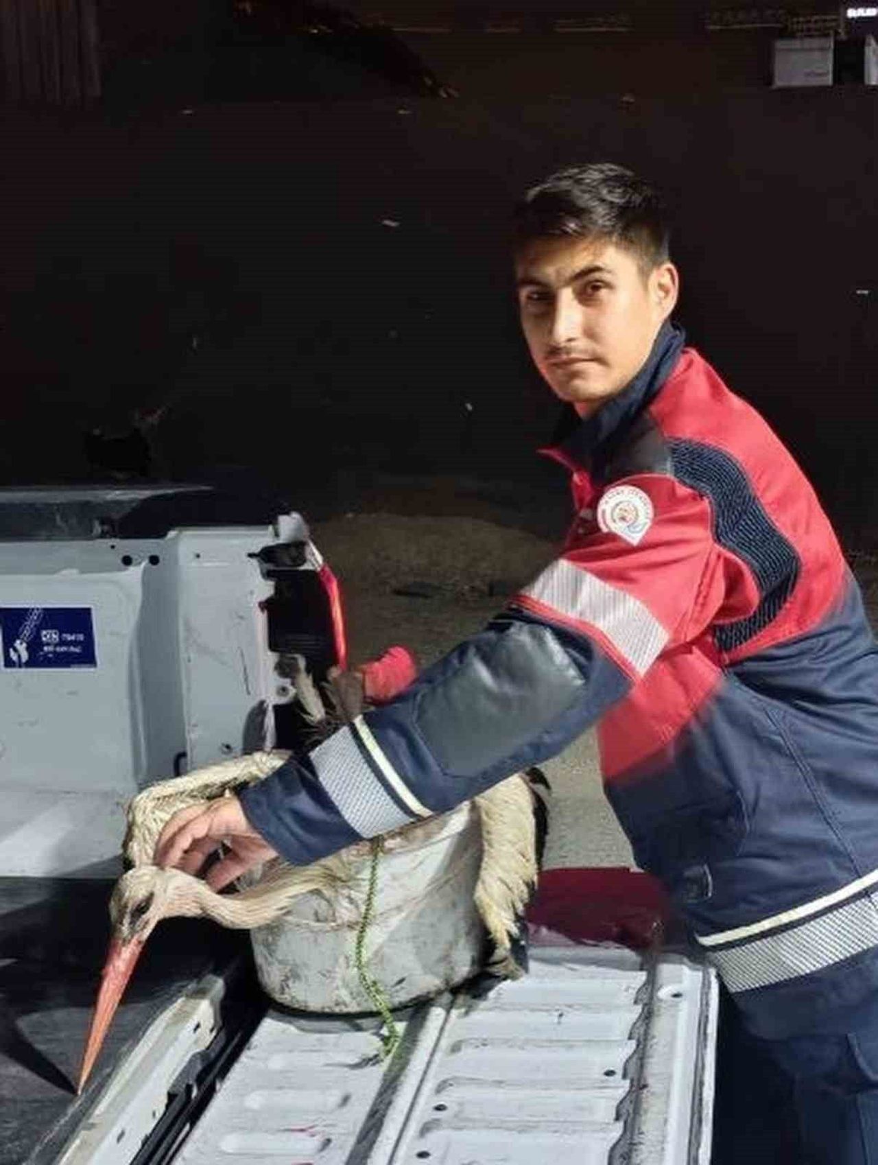 ARSUZ KARAAĞAÇ SAHİLİ’NDE KAYALIKLARDA YORGUN DÜŞEN LEYLEK EKİPLER TARAFINDAN KURTARILDI