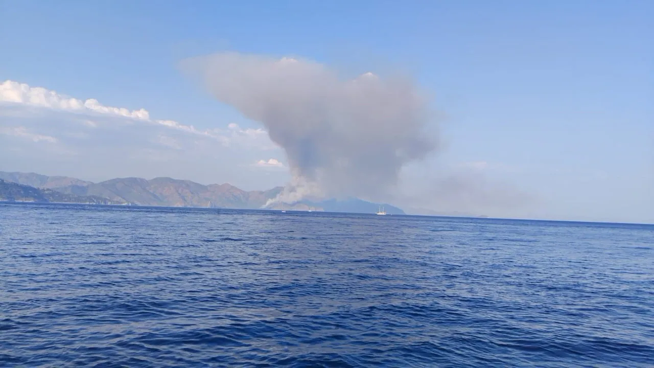 MUĞLA'NIN MARMARİS İLÇESİNDE BULUNAN VE KARA BAĞLANTISININ OLMADIĞI KABAKARGI KOYU'NDAKİ ORMANLIK...