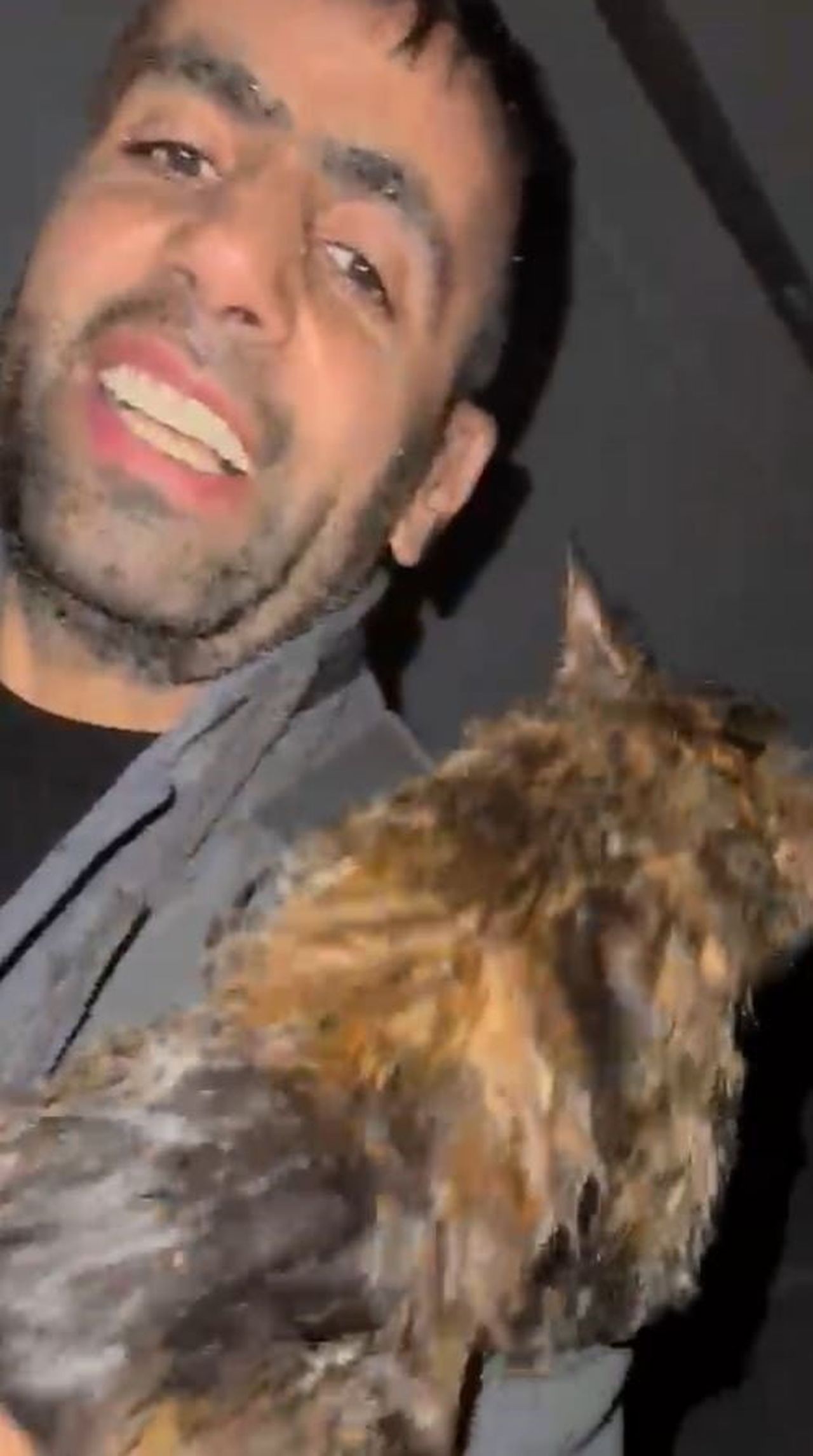 ARNAVUTKÖY’DE ŞİDDETLİ YAĞIŞ SIRASINDA SU DOLAN OKUL LOJMANINDA MAHSUR KALAN KEDİ, MAHALLE MUHTARI...