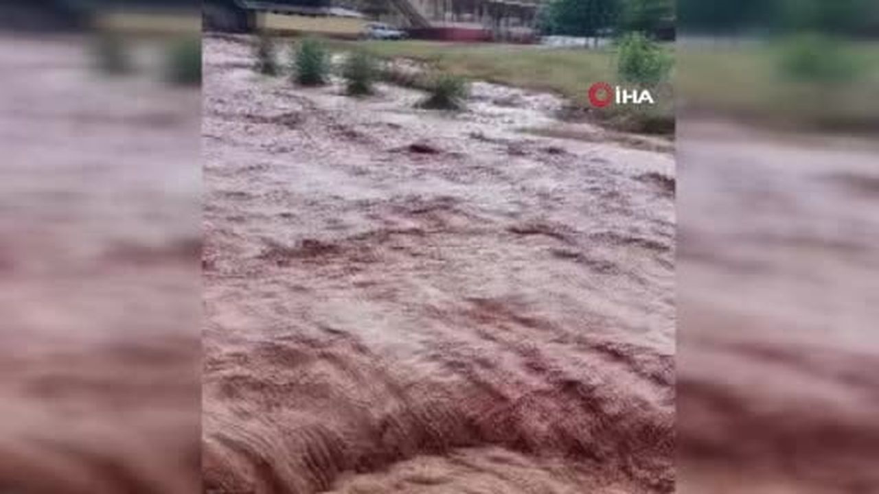 Şiddetli yağış sele neden oldu, tarım arazileri sular altında kaldı