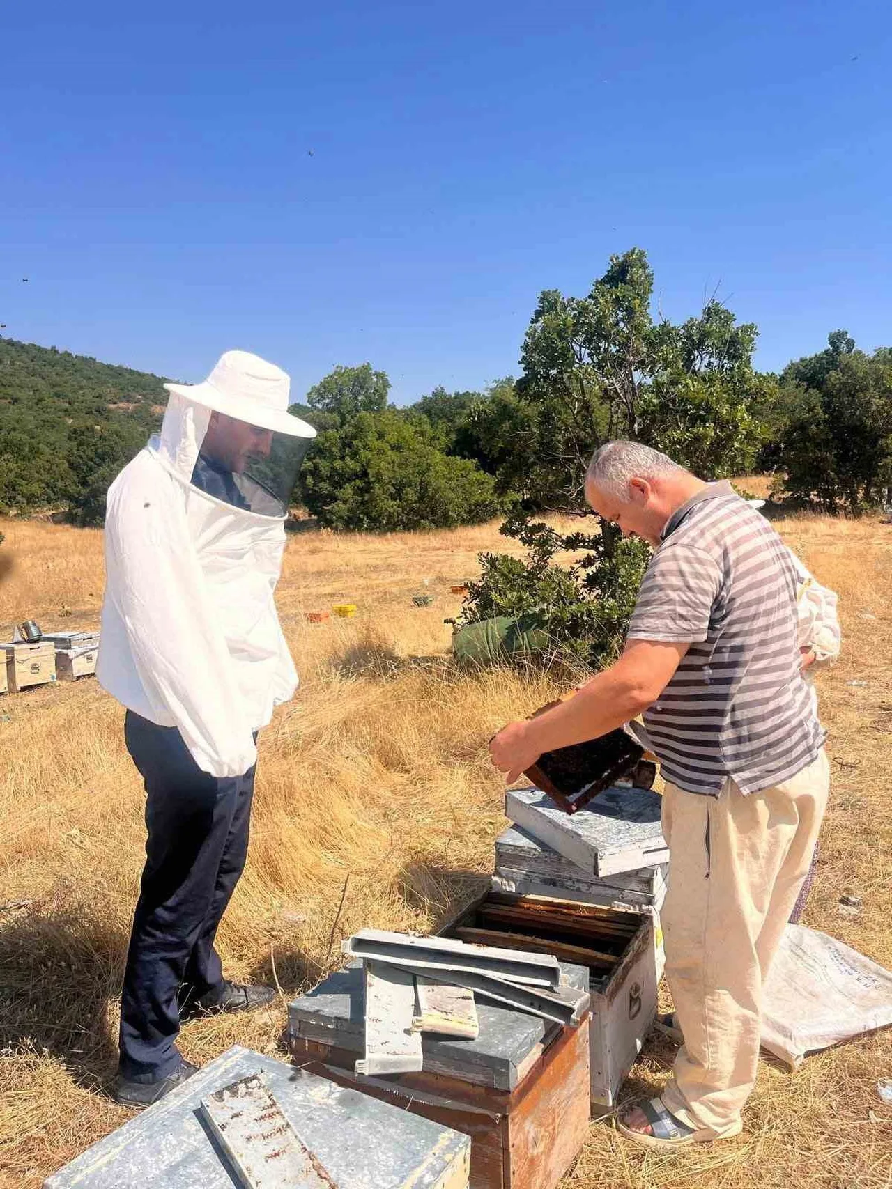 AFYONKARAHİSAR TARIM VE ORMAN İL MÜDÜRLÜĞÜ TARAFINDAN ARICILIĞIN SÜRDÜRÜLEBİLİR ŞEKİLDE...