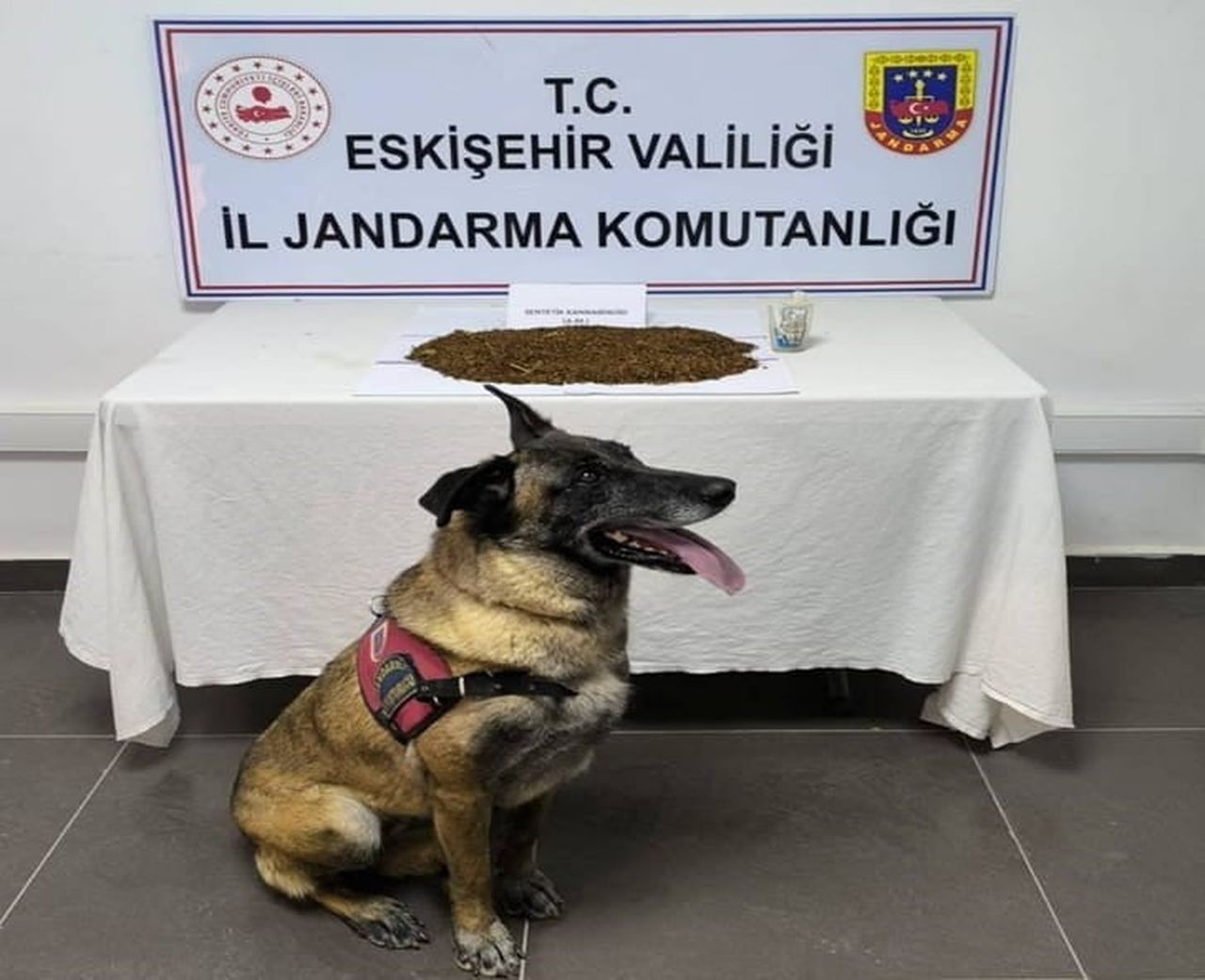 ESKİŞEHİR'DE DÜZENLENEN OPERASYONDA 361 GRAM BONZAİ ELE GEÇİRİLİRKEN, GÖZALTINA ALINAN ŞÜPHELİ...
