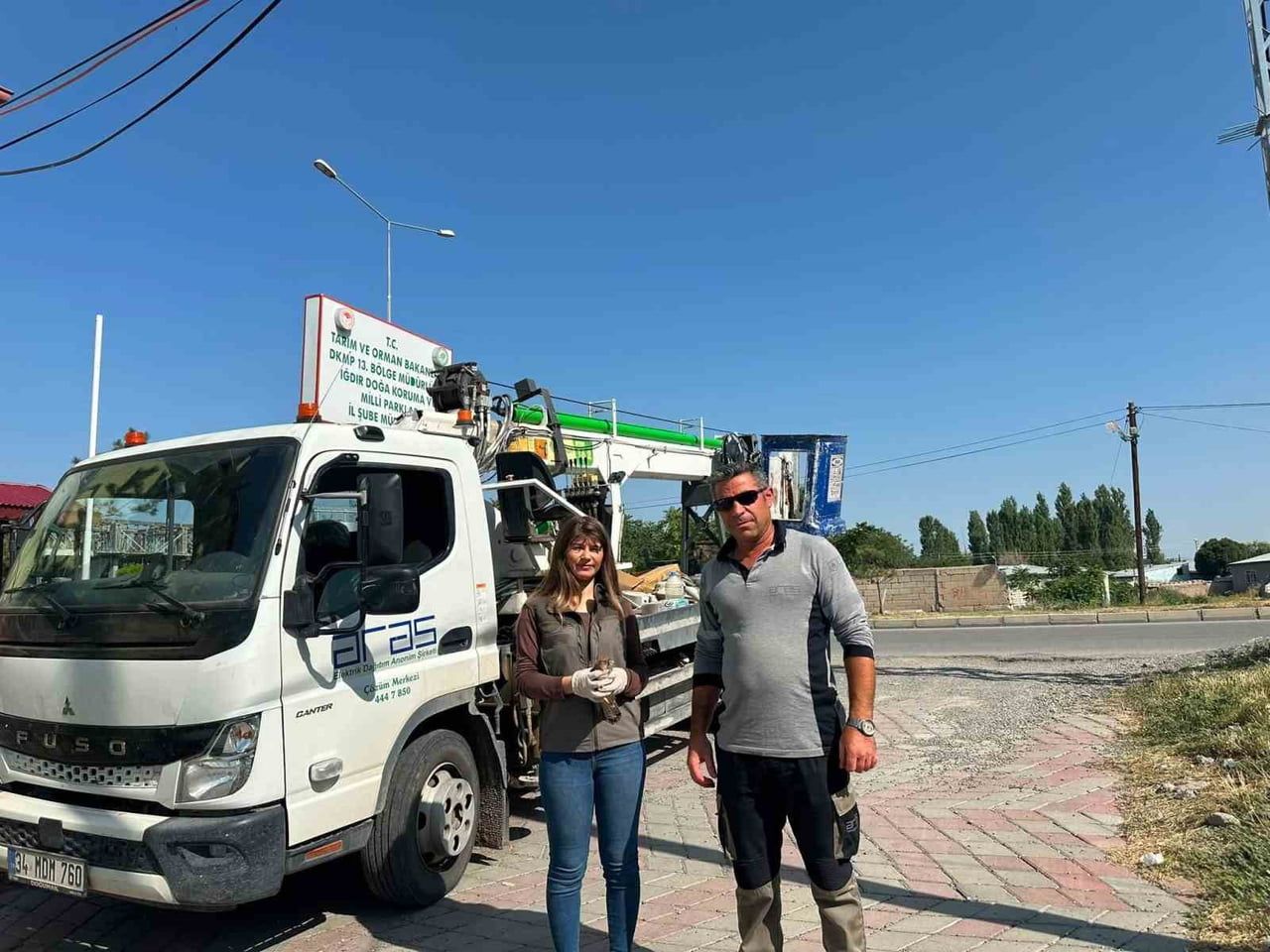 IĞDIR'DA DOĞADA HALSİZ BULUNAN KERKENEZ KORUMA ALTINA ALINDI