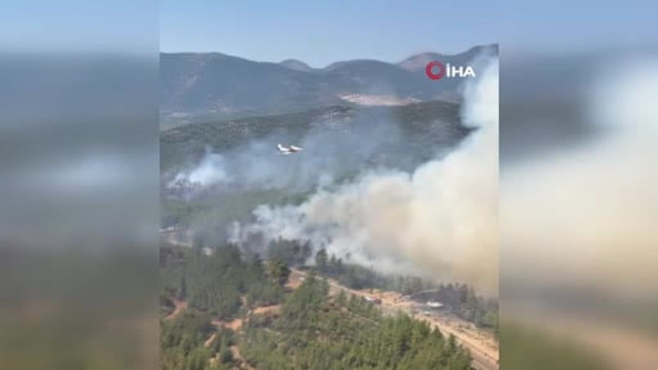 İletişim Başkanlığı: "Muğla’nın Fethiye ilçesindeki yangın olmak üzere; yangınların 202’si tamamen...