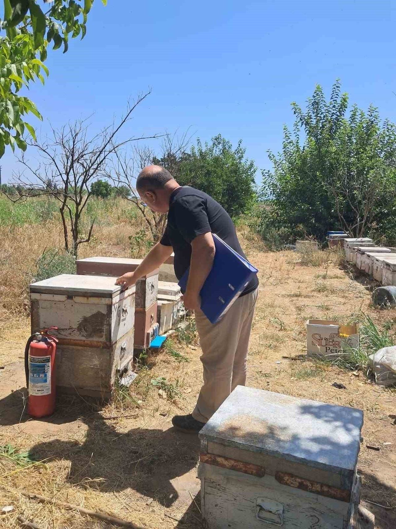 AYDIN'IN KÖŞK İLÇESİNDE, 2026 YILI ARILI KOVAN DESTEKLEMESİNE ESAS TEŞKİL EDECEK ARILI KOVAN...
