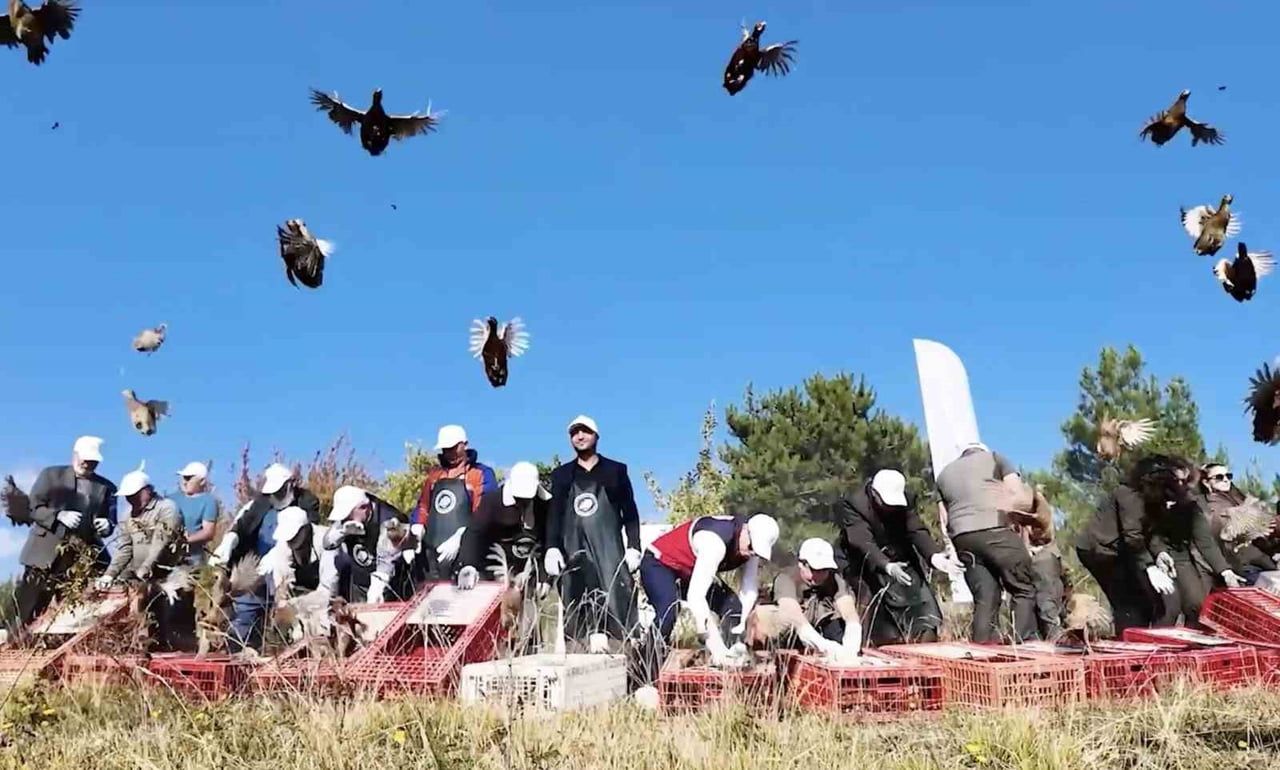 KASTAMONU'DA POPÜLASYONU DESTEKLEMEK AMACIYLA AVA KAPALI BÖLGEDE DOĞAYA 900 SÜLÜN SALINDI.