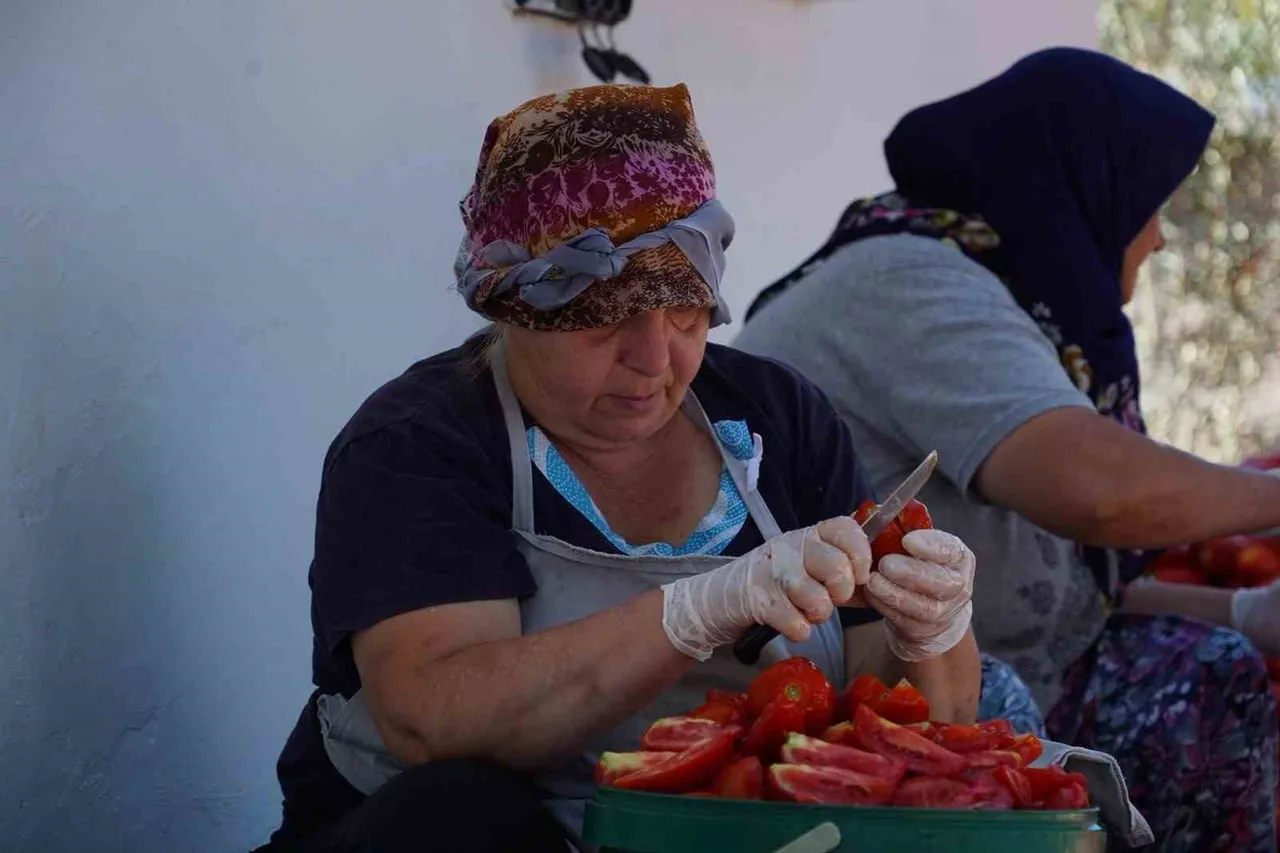 BALIKESİR'İN AYVALIK İLÇESİNİN KÜÇÜKKÖY MAHALLESİ'NDE FAALİYET GÖSTEREN S.S. AYVALIK ÜRETİM VE...