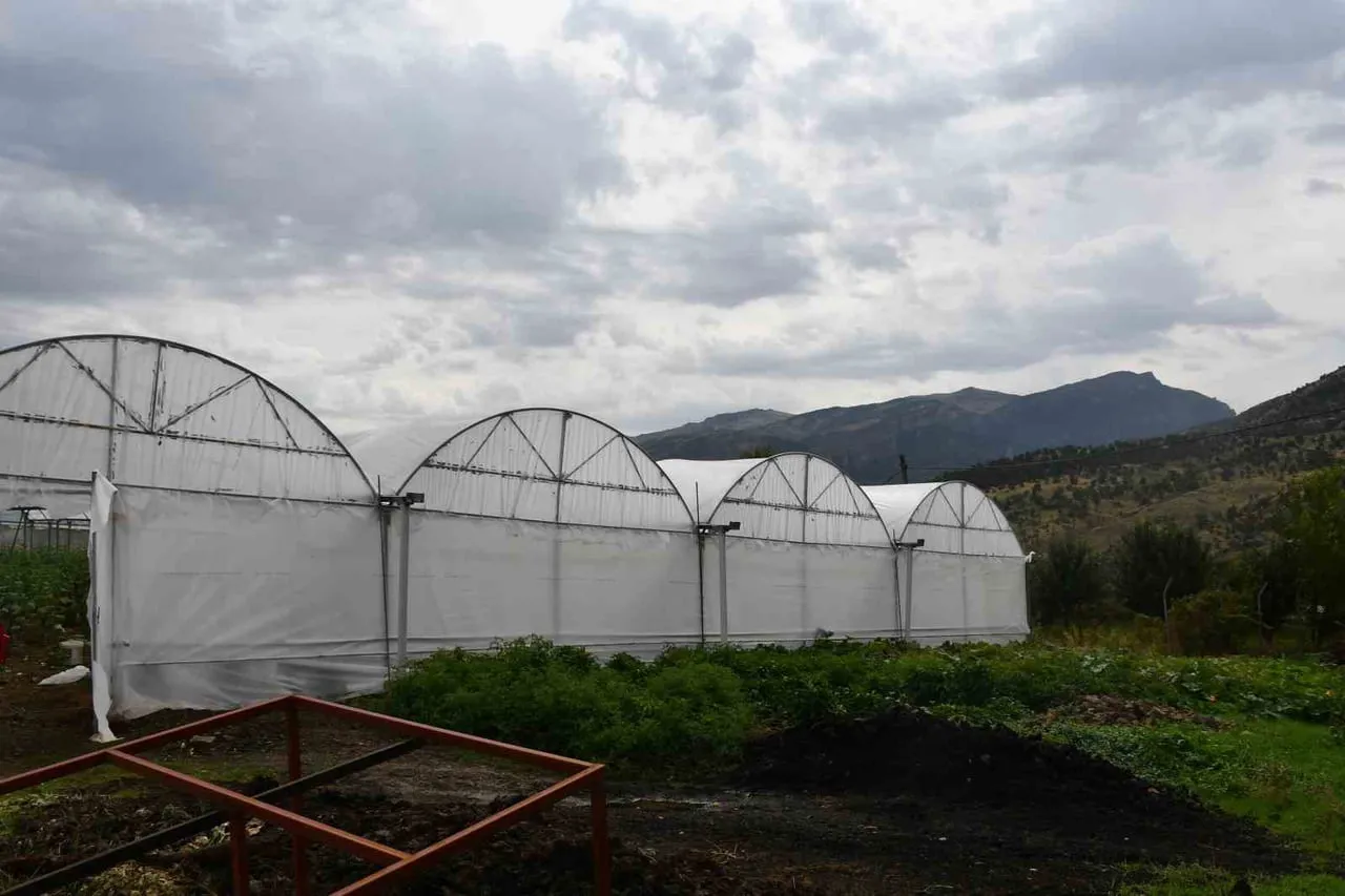 ŞIRNAK'IN ULUDERE İLÇESİNE BAĞLI ŞENOBA BELDESİNDE AİLELERİN DEVLETTEN ALDIKLARI YÜZDE 50 İLE...