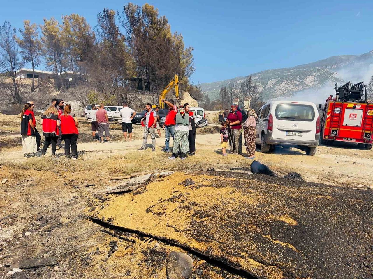 MUĞLA’NIN SEYDİKEMER İLÇESİ KORUBÜKÜ MAHALLESİ’NDE ÇIKAN ORMAN YANGININDAN ETKİLENEN ÜRETİCİLER...