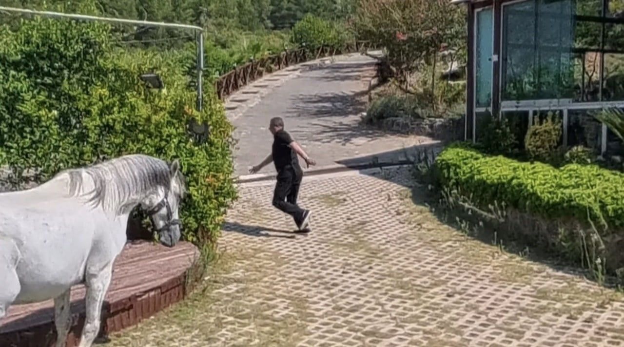 OSMANİYE’DE SOBA KOVASINA SIKIŞAN YAVRU KEDİ KURTARILDI