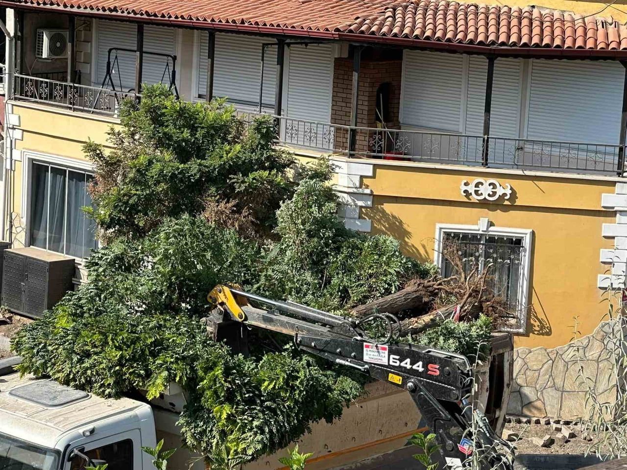 SINDIRGI'DA YOL ÇALIŞMALARI KAPSAMINDA CADDE ÜZERİNDEKİ KALDIRIMLARDA BULUNAN AKASYA AĞAÇLARI...