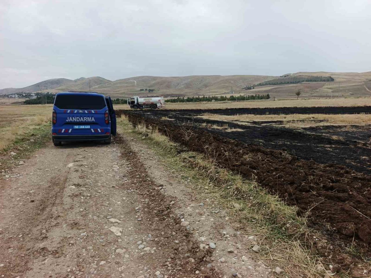 SİİRT’İN KURTALAN İLÇESİNDE EKİM ÖNCESİ TARLASINDAKİ ANIZI YAKAN ÇİFTÇİYE JANDARMA EKİPLERİ...