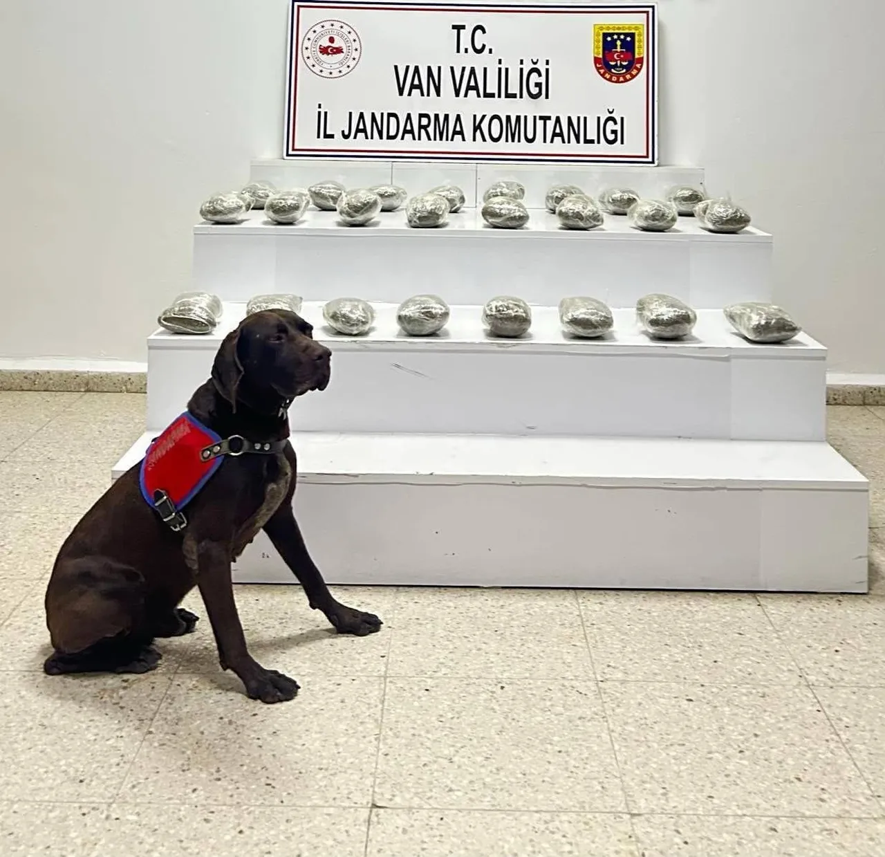 VAN’IN BAŞKALE İLÇESİNDE JANDARMA EKİPLERİNCE YÜRÜTÜLEN ÇALIŞMALAR SONUCUNDA 10 KİLO 111 GRAM TOZ...