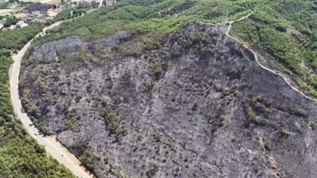 Seydikemer'de alevlerin küle çevirdiği alanlar böyle görüntülendi