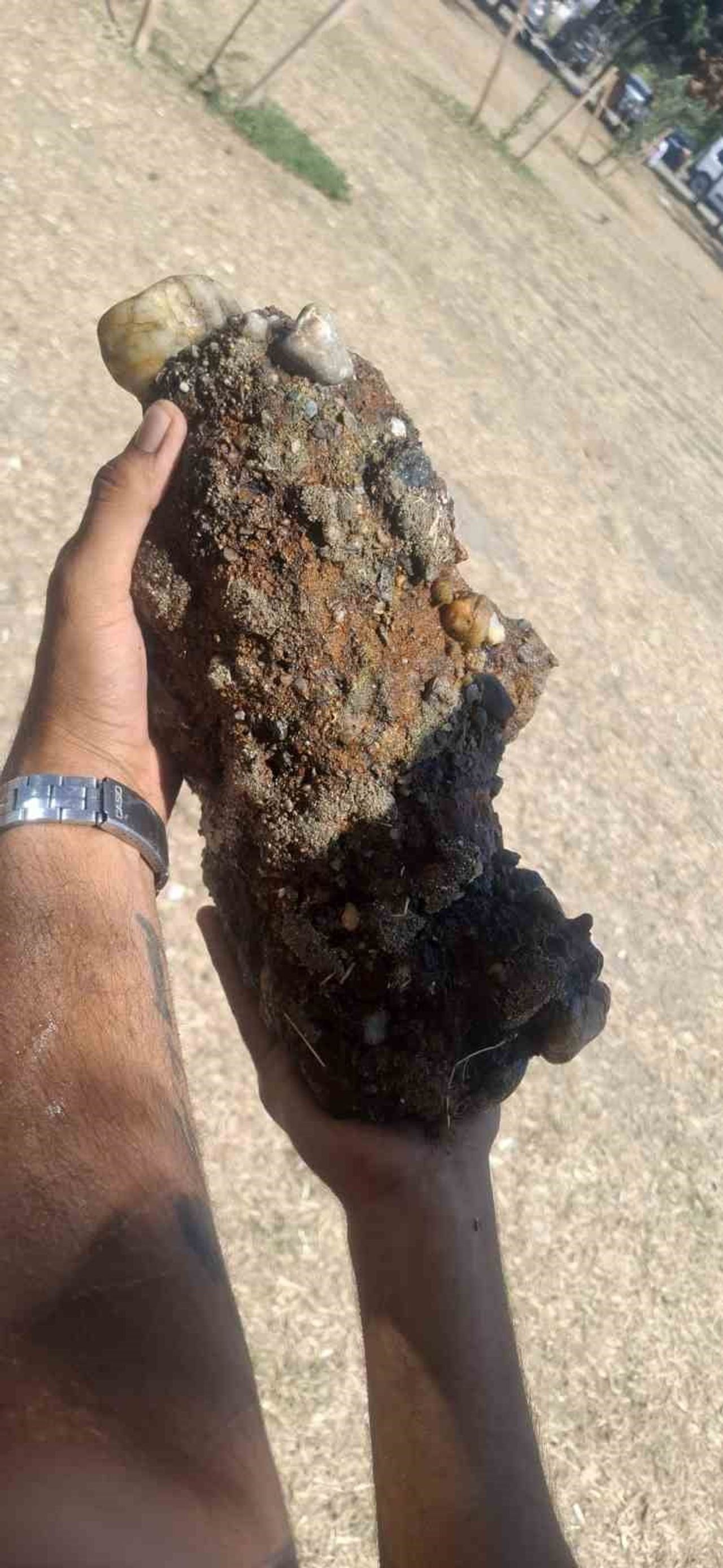 KEPEZ BELDESİNDE BULUNAN HALK PLAJINDA PATLAMAMIŞ ASKERİ MÜHİMMAT BULUNDU