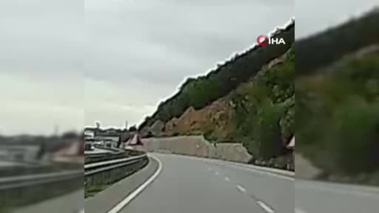 Yola düşen geyiğin yardımına koştu