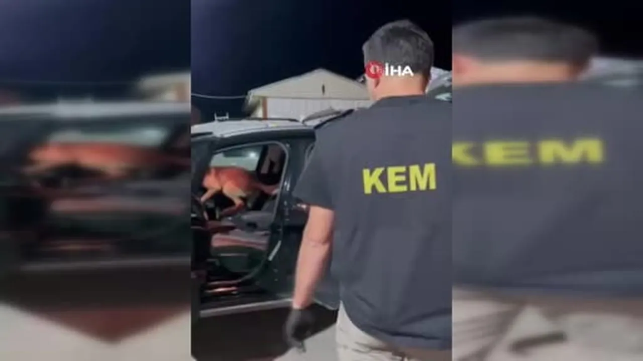 Muş’ta araçtan 102 gram metamfetamin çıktı: 2 şüpheli tutuklandı