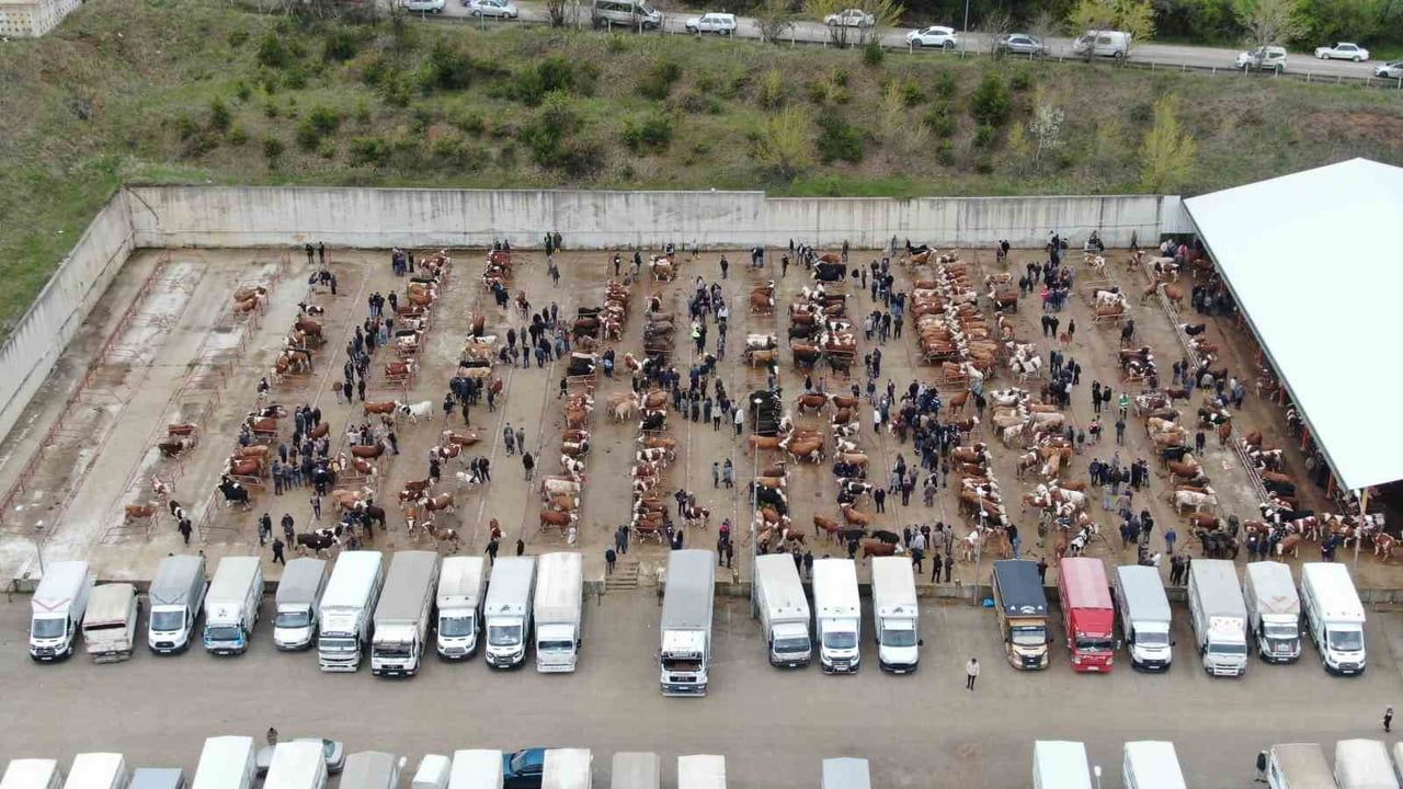 KASTAMONU’DA ORTAYA ÇIKAN ŞAP HASTALIĞI NEDENİYLE İL GENELİNDEKİ TÜM HAYVAN PAZARLARI SÜRESİZ...