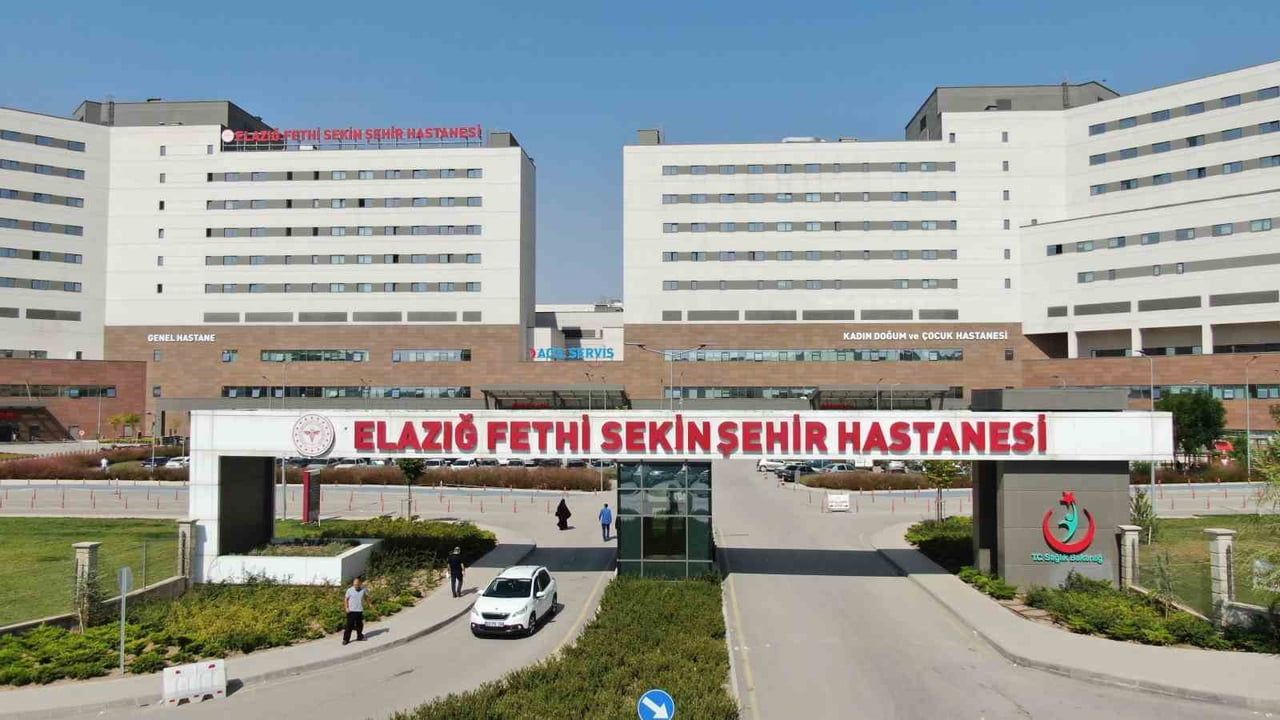 ELAZIĞ’IN PALU İLÇESİNDE OTOMOBİLİN ÇARPIP KAÇTIĞI, POLİS MEMURU HAYATINI KAYBETTİ. JANDARMA...