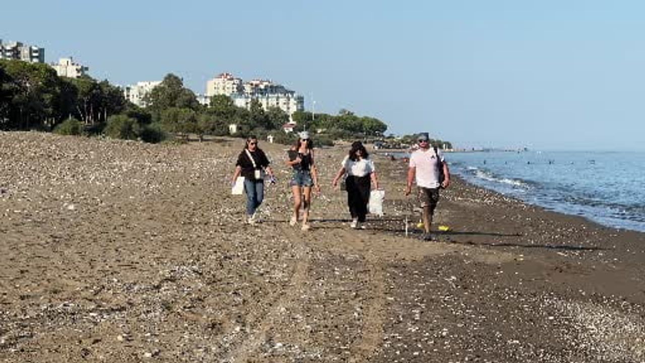 Mersin'de sezonun ilk deniz kaplumbağası yavruları Akdeniz'e ulaştı