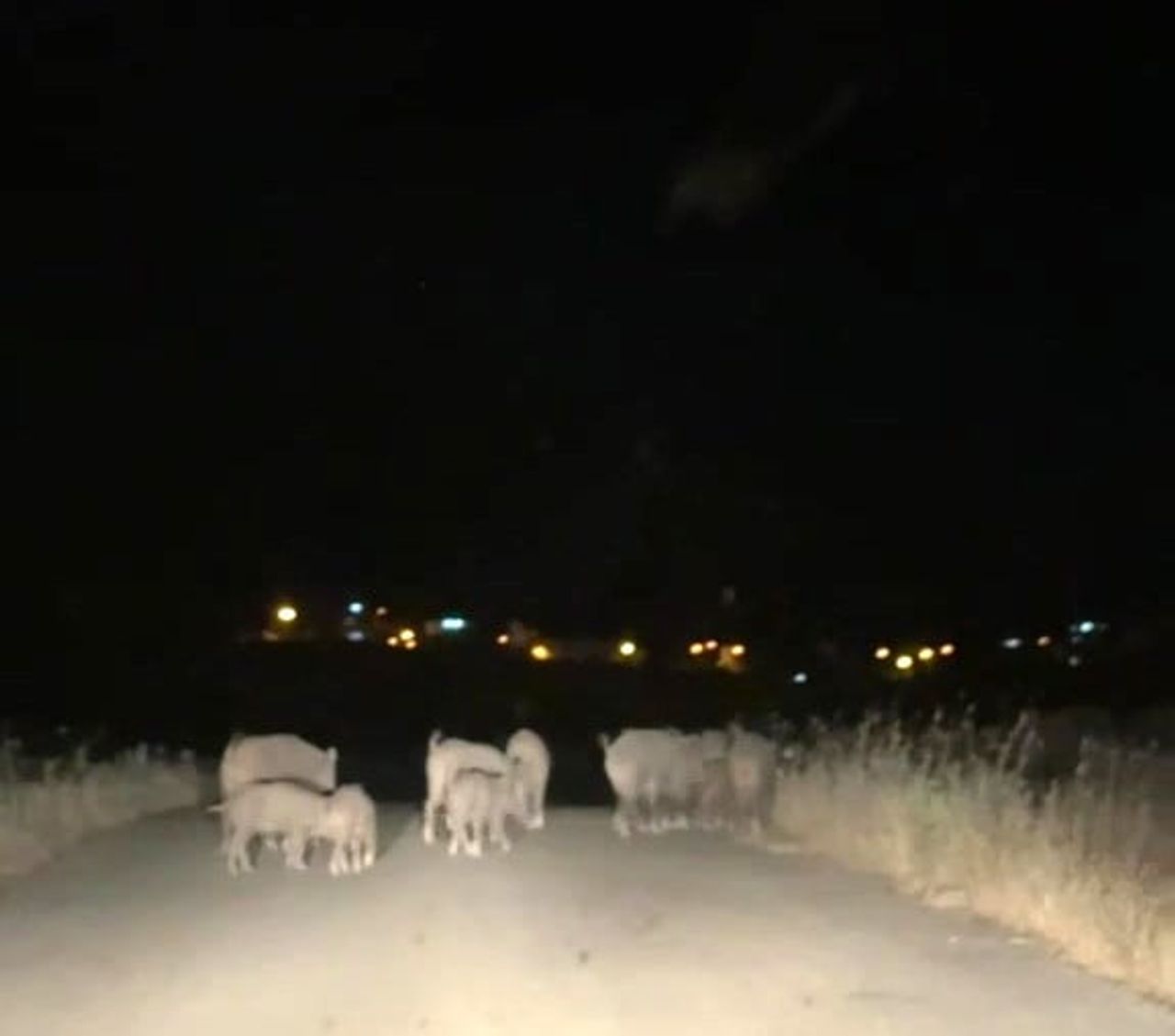 İLÇENİN HEMEN HER NOKTASINDA, ÖZELLİKLE GECE SAATLERİNDE KARAYOLLARINA VE YERLEŞİM ALANLARINA...