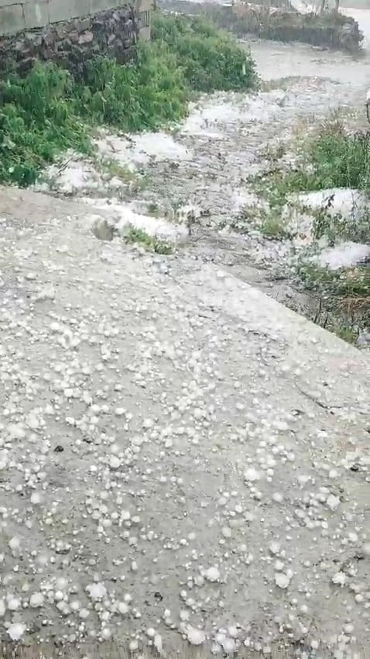 HANAK İLÇESİNDE ETKİLİ OLAN DOLU YAĞIŞI, KISA SÜREDE CADDE VE SOKAKLARI BEYAZ ÖRTÜYLE...