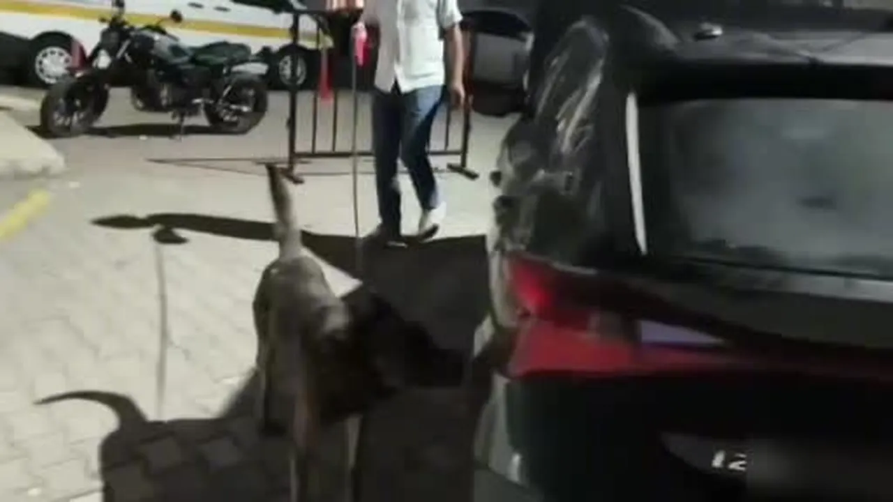 İstanbul'dan uyuşturucu sevkiyatı Sakarya'da durduruldu: 4 tutuklama