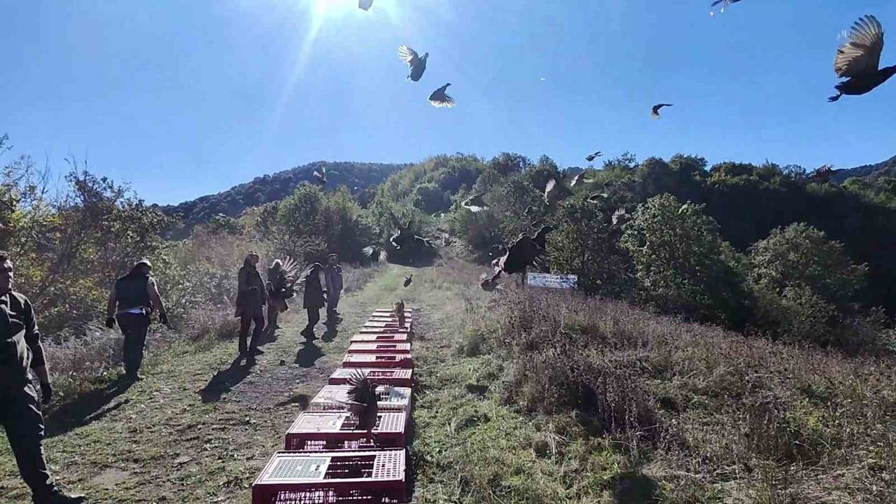ZONGULDAK'TA YABAN HAYATININ DESTEKLENMESİ VE BİYOLOJİK ÇEŞİTLİLİĞİN KORUNMASI AMACIYLA...