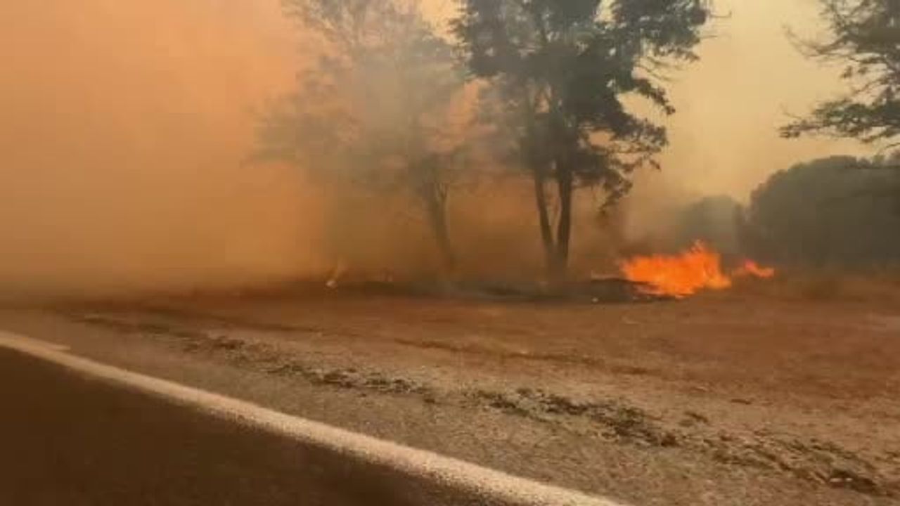Balıkesir'deki yangın Bergama sınırına ulaştı, gazeteciler alevler arasından zor kurtuldu