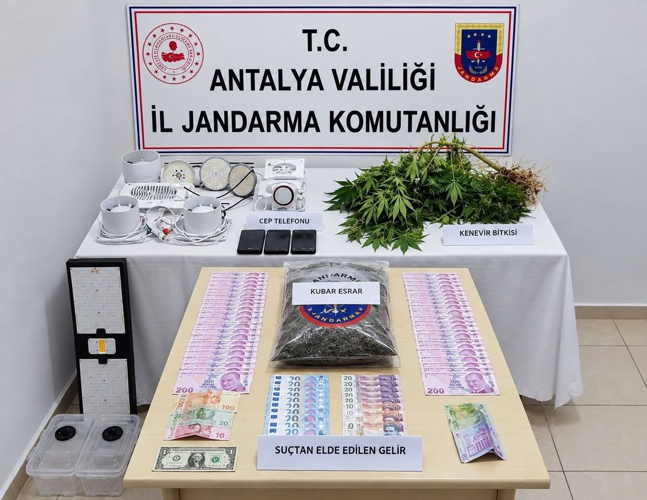 ANTALYA'NIN MANAVGAT İLÇESİNDE JANDARMA TARAFINDAN YAPILAN OPERASYONDA EVDE UYUŞTURU YETİŞTİREN 1...