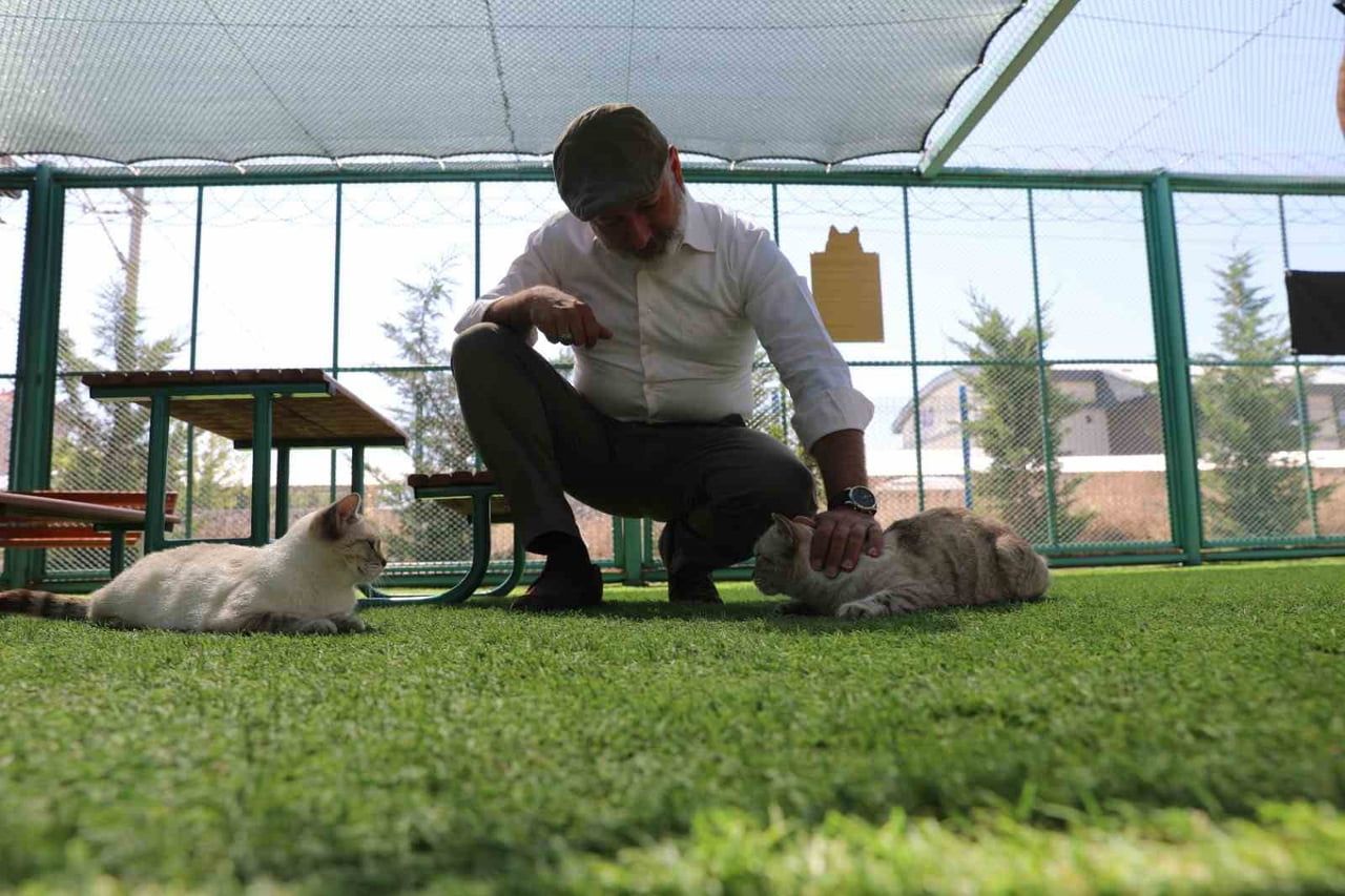 KOCASİNAN BELEDİYESİ TARAFINDAN KAYSERİ’DE BİR İLK OLARAK HAYATA GEÇİRİLEN VE 19 FARKLI KEDİ...