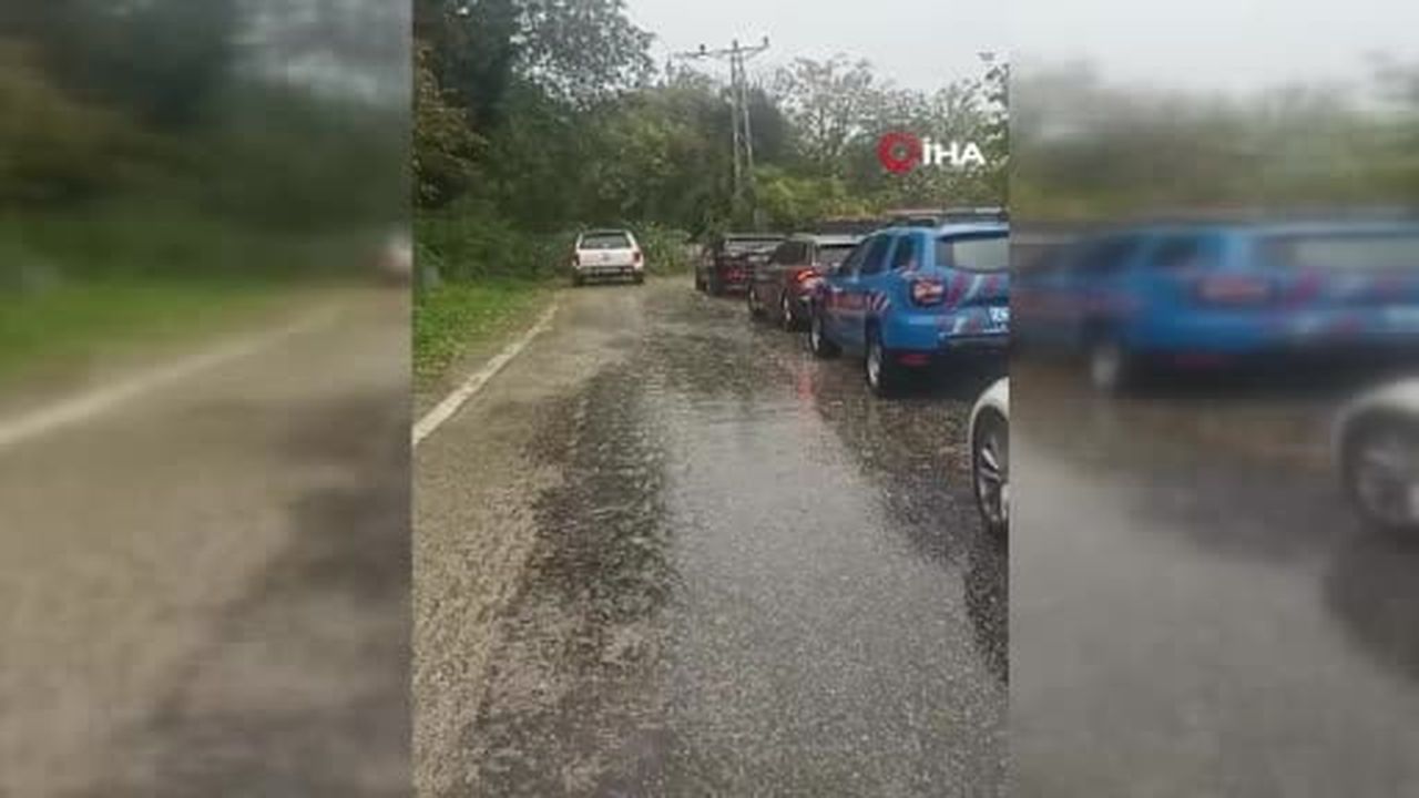 Kastamonu'da fırtına ağaçları devirdi