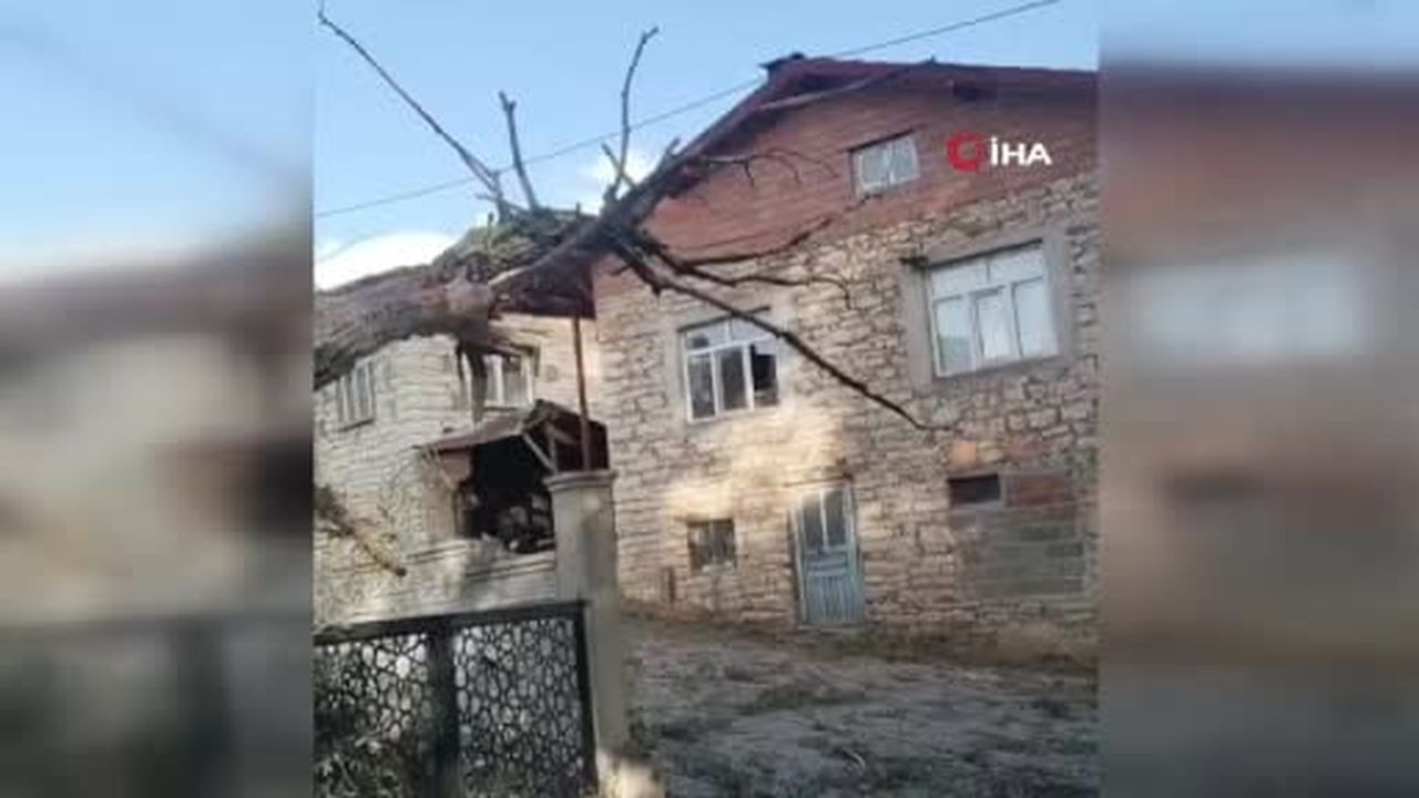 Fırtınada kökünden sökülen ağaç otomobilin üzerine devrildi