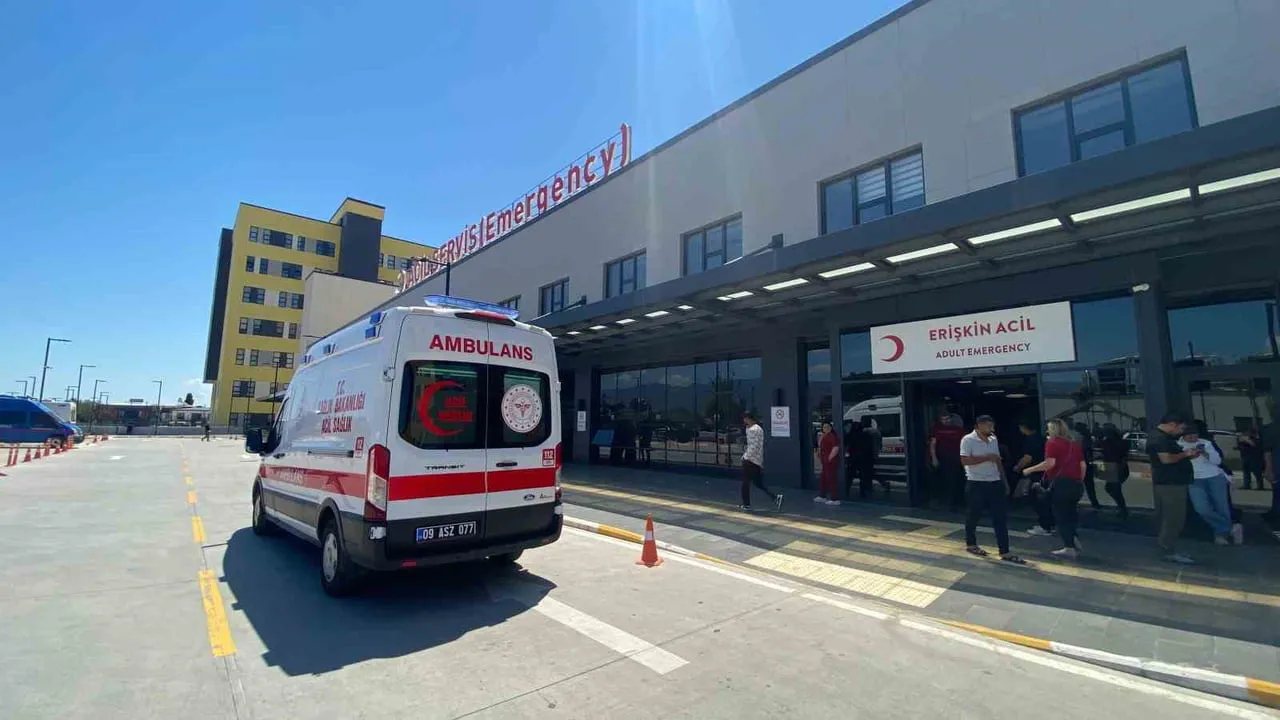 AYDIN'IN EFELER İLÇESİNDE ARACIN ÇARPTIĞI KADIN KALDIRILDIĞI HASTANEDE HAYATINI KAYBETTİ.