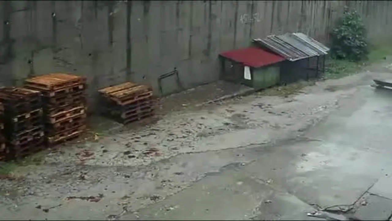 Zonguldak’ta istinat duvarının çöktüğü anlar kamerada: Köpekler telef oldu, 2 araç enkaz altında...