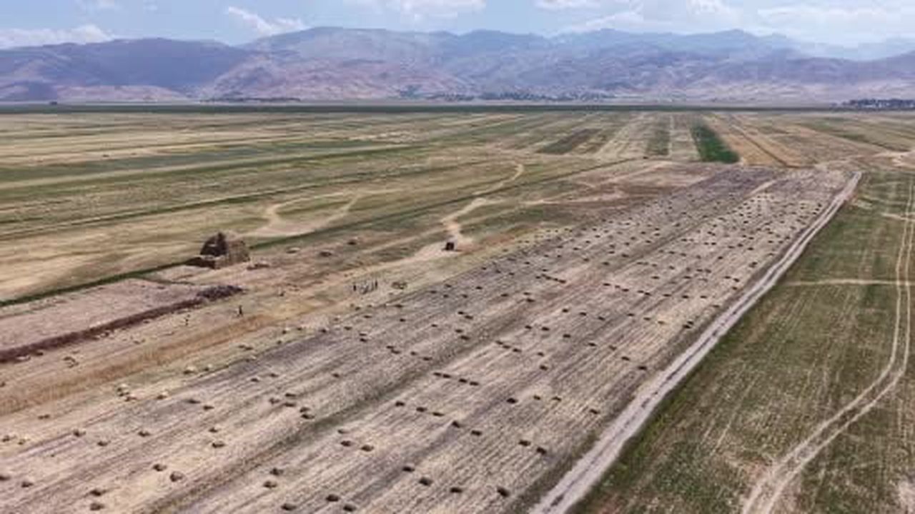 Yüksekova'da kavurucu sıcağa rağmen buğday hasadı mesaisi sürüyor