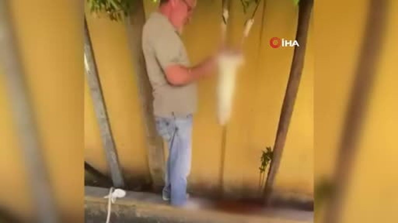 Güngören'de sokakta tavşanı kesip derisini yüzen şahıs gözaltına alındı