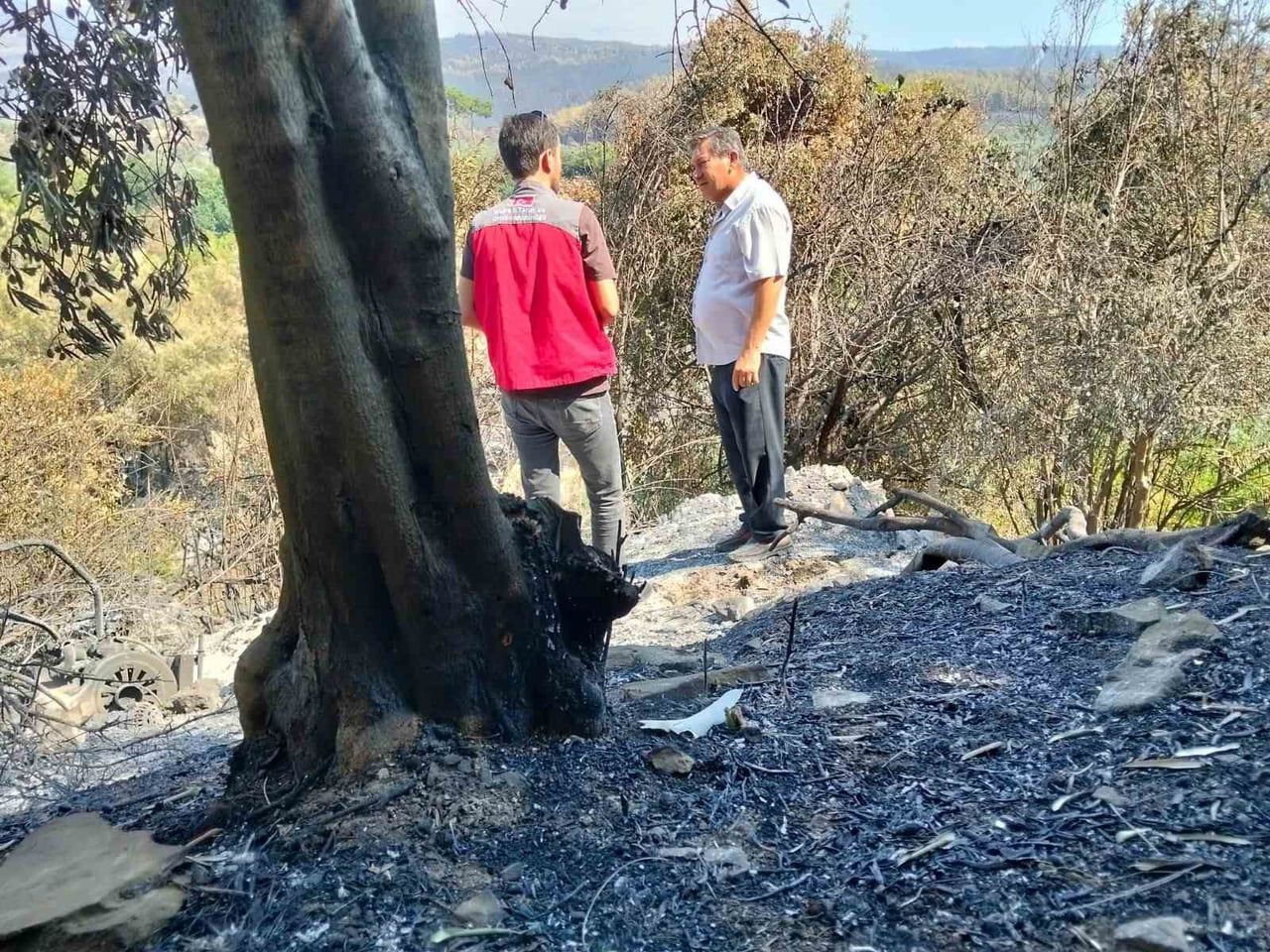 MUĞLA İL TARIM VE ORMAN MÜDÜRLÜĞÜ YANGINDAN ETKİLENEN ÜRETİCİLERİN YANINDA