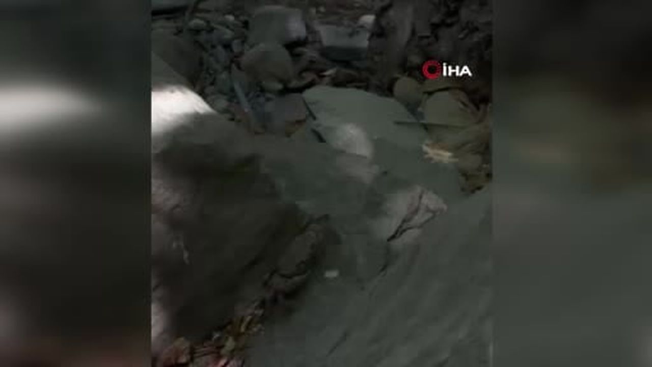 Yüksekova’da dev yengeç görüntülendi