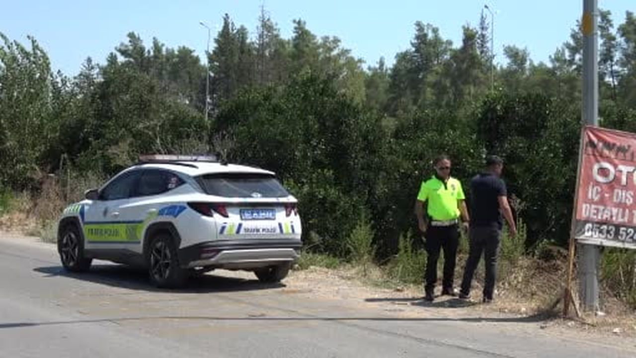 Önüne çıkan kediye çarpmamak için direksiyonu kırınca bahçeye uçtu