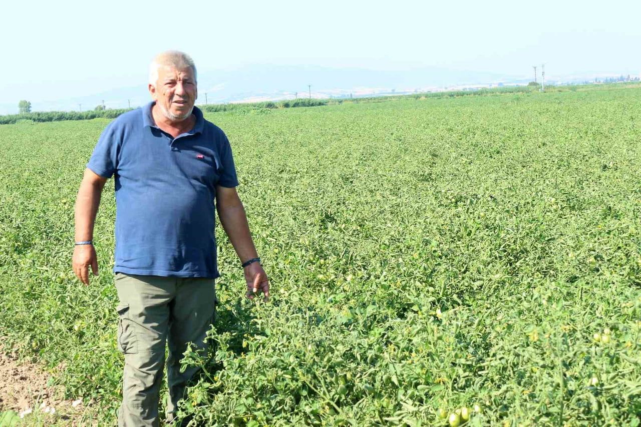 KARACABEY ZİRAAT ODASI BAŞKAN YARDIMCISI RAMAZAN DÜZEN, BÖLGEDEKİ ÇİFTÇİLERİN YILLARDIR SÜREN...