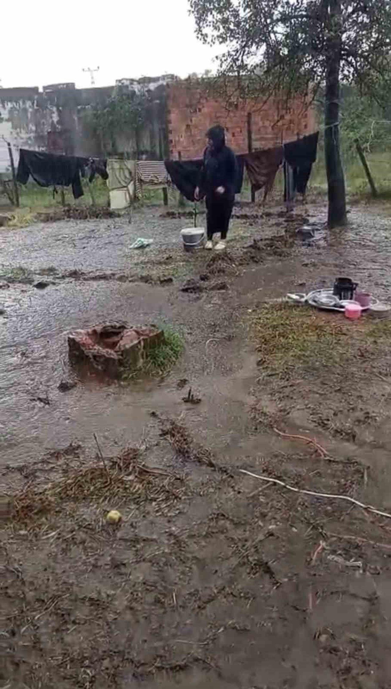 ŞANLIURFA’NIN SİVEREK İLÇESİNDEN SAMSUN’UN TEKKE KÖYÜNE FINDIK TOPLAMAK İÇİN GİDEN MEVSİMLİK TARIM...