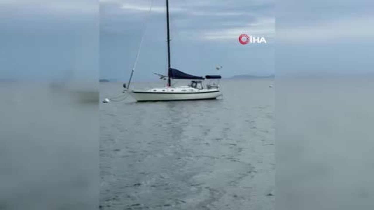 ABD’de içerisinde 11 kişinin bulunduğu deniz uçağının düşmesi sonucu 4 kişi yaralandı.