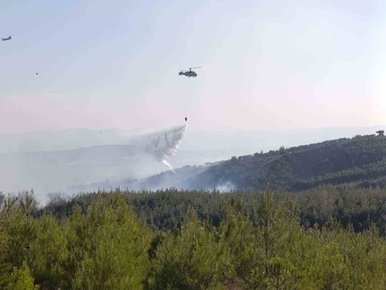 ÇANAKKALE’NİN BAYRAMİÇ İLÇESİNDE ÇIKAN ORMAN YANGINI EKİPLERİN HAVADAN VE KARADAN MÜDAHALESİYLE...