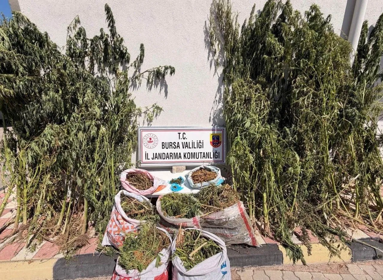 BURSA’DA 22 KİLO 675 GRAM ESRAR ELE GEÇİRİLDİ