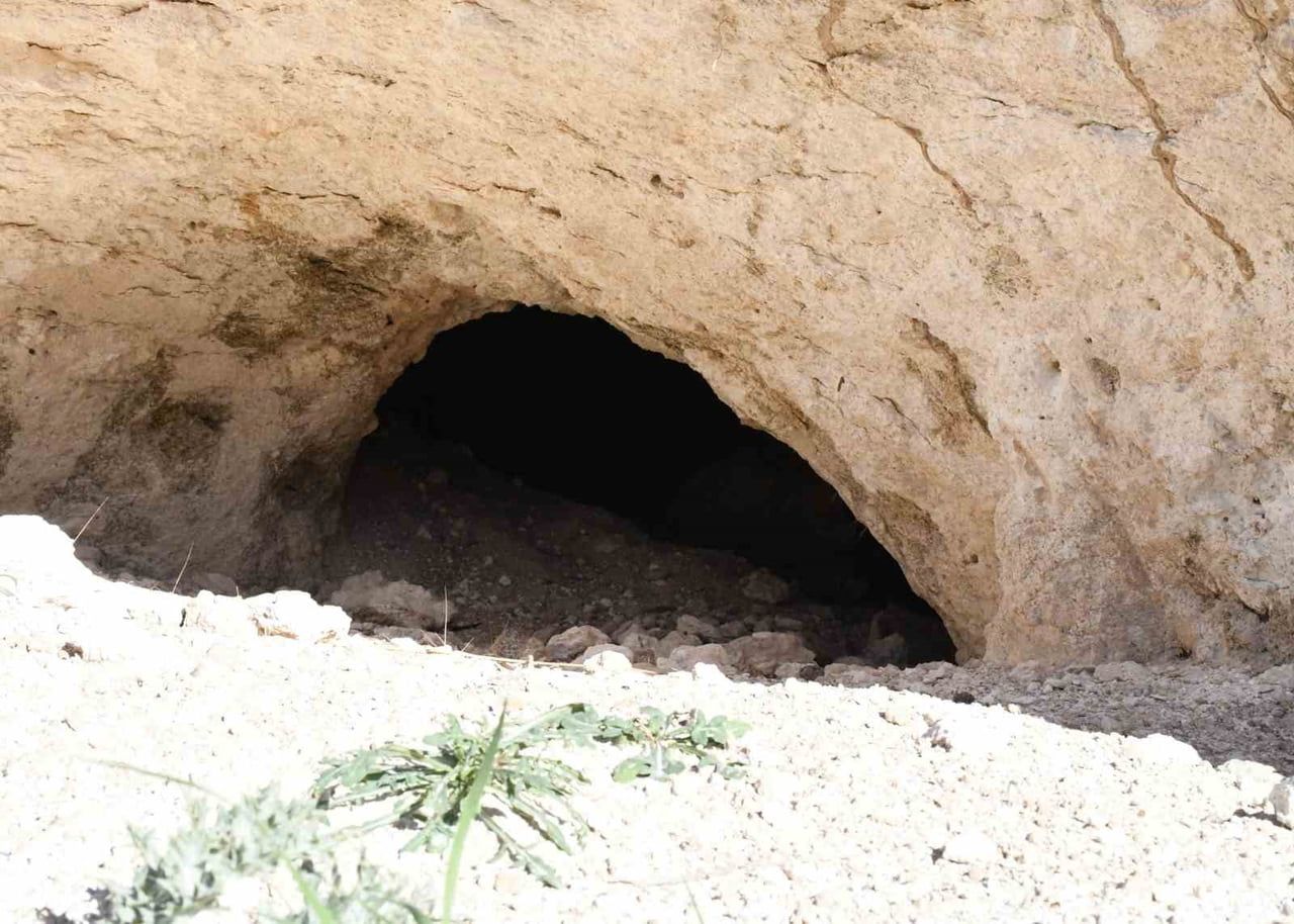 YOZGAT'IN ŞEFAATLİ İLÇESİNE BAĞLI KÜÇÜKİNCİRLİ KÖYÜNDE, GELENEKSEL PEKMEZ YAPIMININ VAZGEÇİLMEZ...