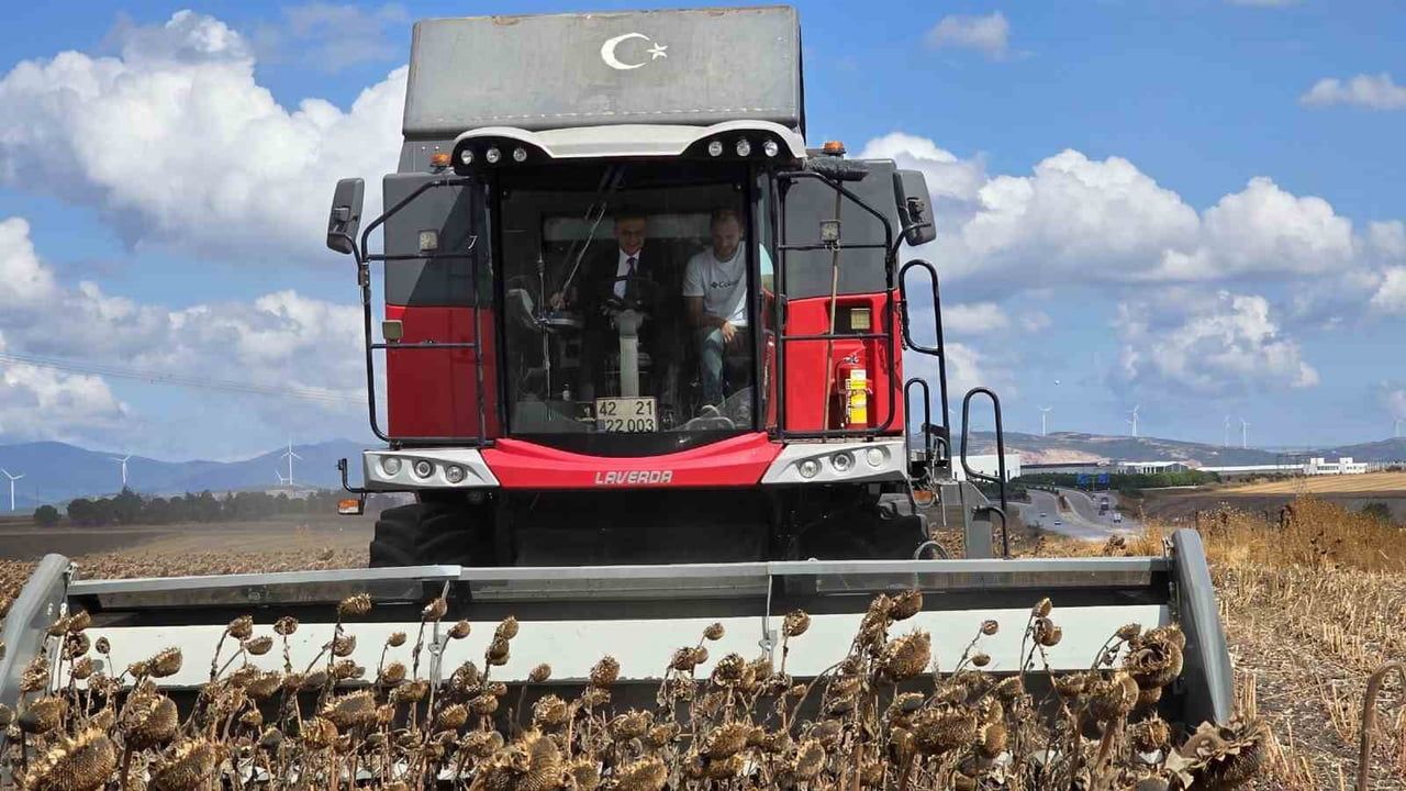 BANDIRMA’DA KAYMAKAM TARLAYA İNDİ, AYÇİÇEĞİ HASADINA KATILDI
