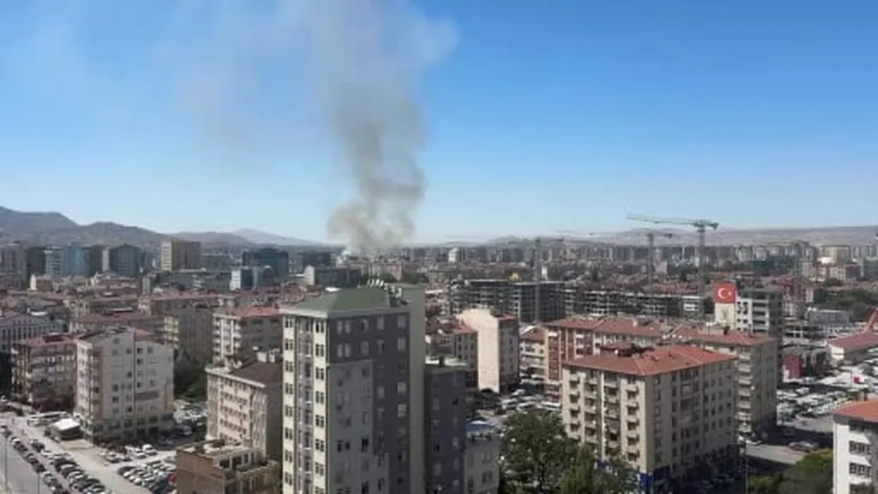 Ot yangınında 6 dönüm alan kül oldu