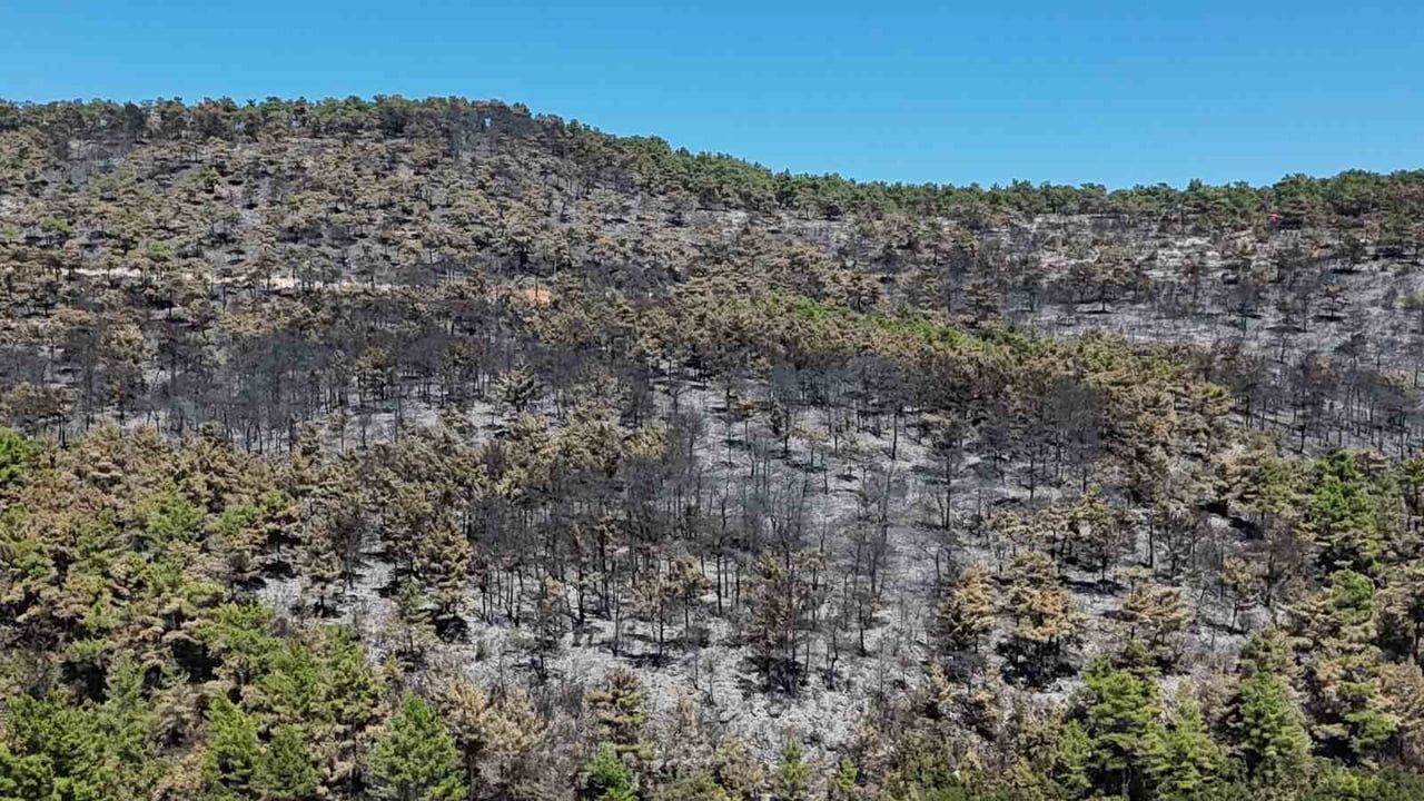 MUĞLA’NIN MENTEŞE İLÇESİ YARAŞ MEVKİSİNDE DÜN SABAH SAATLERİNDE BAŞLAYAN VE YAKLAŞIK 6 SAATLİK...